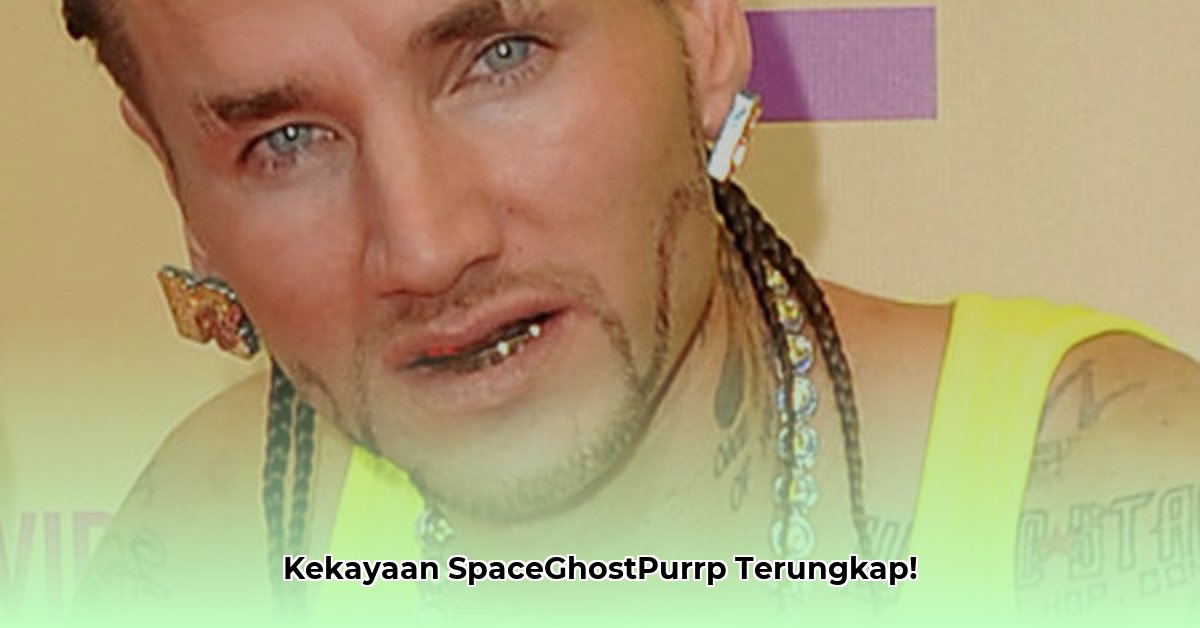 spaceghostpurrp net worth